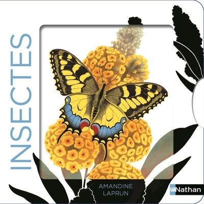Insectes - Image principale
