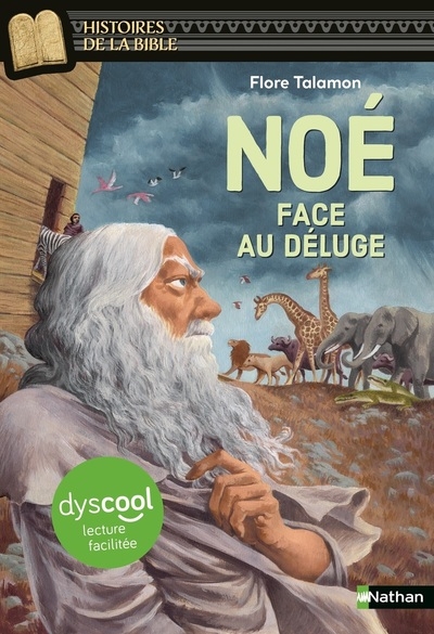 Noé face au déluge - dyscool - Image principale