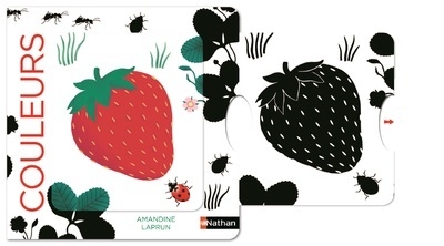 Couleurs - Image principale