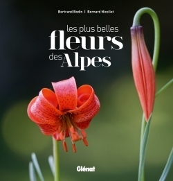 Les plus belles fleurs des alpes - Image principale
