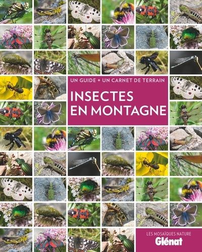 Insectes en montagne (2e ed) - Image principale