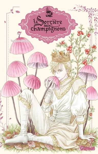 La sorcière aux champignons - tome 07 - Image principale