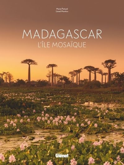 Madagascar - Image principale