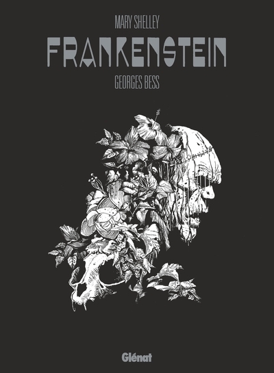 Mary shelley frankenstein - Image principale