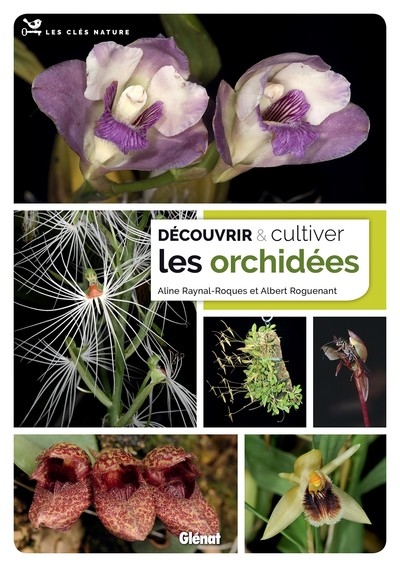 Découvrir et cultiver les orchidées - Image principale