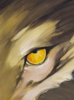 Meutes - coffret t01 + album collector - Image principale