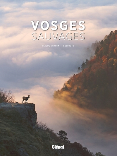 Vosges sauvages - Image principale