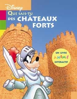 Que sais-tu des châteaux forts ? - Image principale
