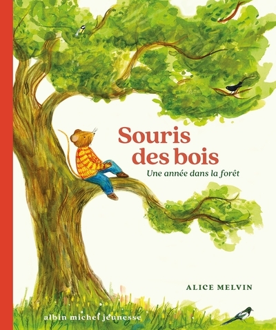 Souris des bois - une année dans la forêt - Image principale