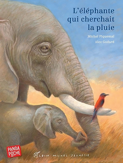 L'eléphante qui cherchait la pluie (panda poche) - Image principale