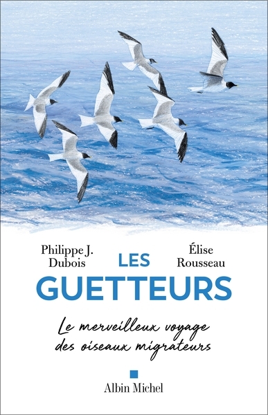 Les guetteurs - Image principale