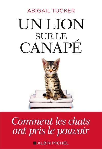 Un lion sur le canapé - Image principale