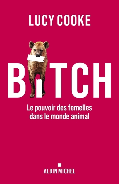 Bitch - Image principale
