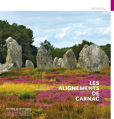Les alignements de carnac - Image principale
