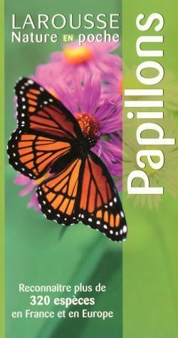 Papillons - Image principale