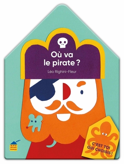 C'est toi qui choisis ! où va le pirate ? - Image principale