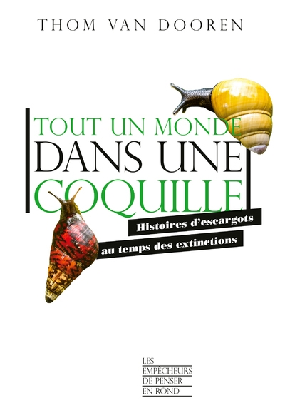 Tout un monde dans une coquille - histoires d'escargots au temps des extinctions - Image principale