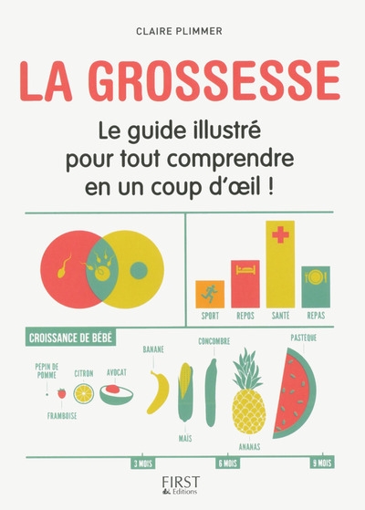 La grossesse - le guide illustré pour tout comprendre en un coup d'oeil ! - Image principale