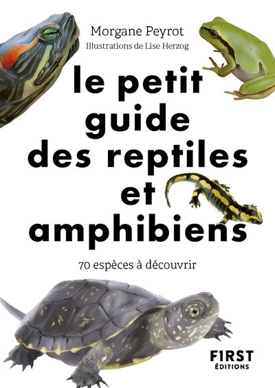 Le petit guide des reptiles et amphibiens - Image principale
