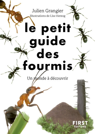 Le petit guide des fourmis - Image principale