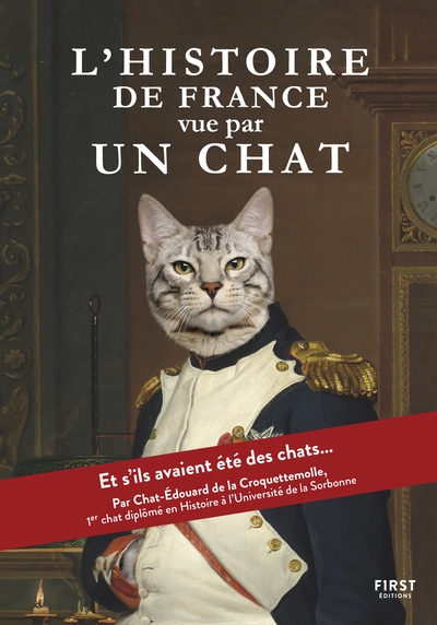L'histoire vue par un chat - Image principale