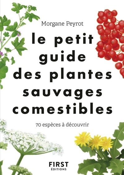 Le petit guide des plantes sauvages comestibles - Image principale