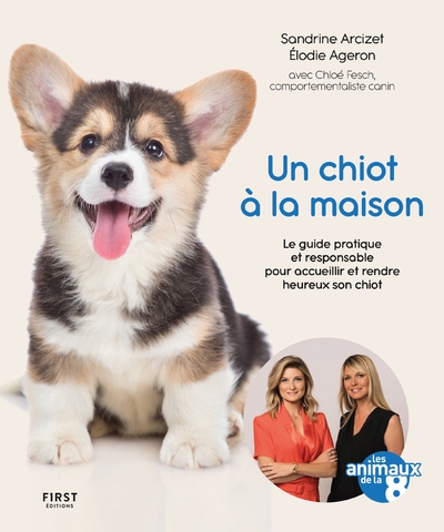 Un chiot à la maison - le guide pratique et responsable pour acceuillir et rendre heureux son chiot - Image principale