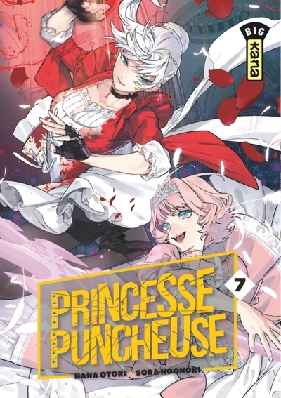 Princesse puncheuse - tome 7 - Image principale