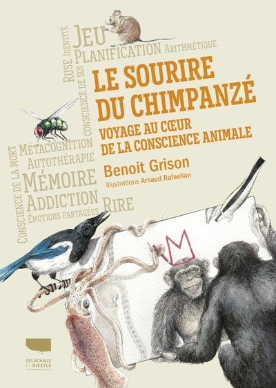 Le sourire du chimpanzé - Image principale