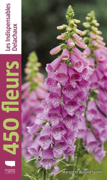450 fleurs - Image principale