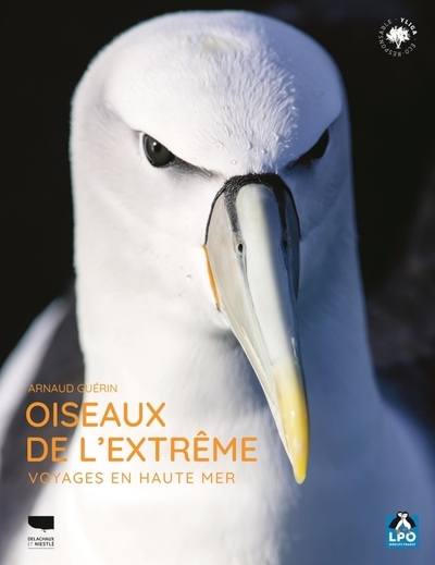 Oiseaux de l'extrême - Image principale