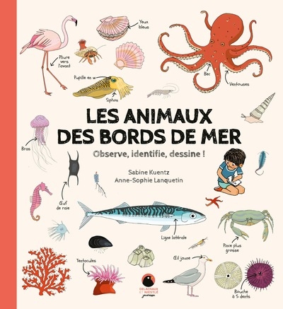 Les animaux des bords de mer - Image principale