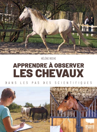 Apprendre à observer les chevaux - Image principale