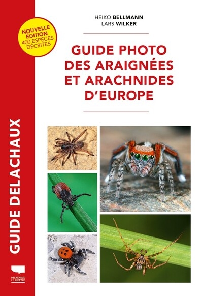 Guide photo des araignées et arachnides d'europe - Image principale