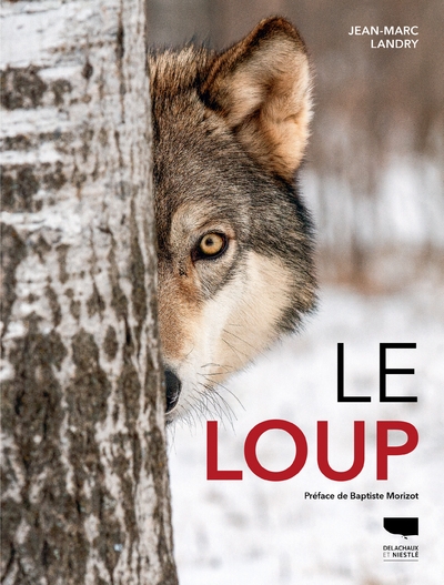 Le loup - Image principale
