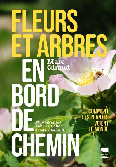 Fleurs et arbres en bord de chemin - Image principale