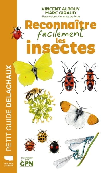 Reconnaître facilement les insectes - Image principale