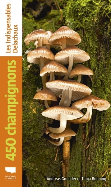 450 champignons - Image principale
