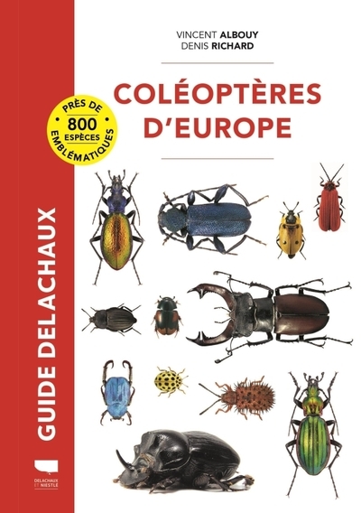 Coléoptères d'europe - Image principale