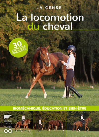 La locomotion du cheval - Image principale