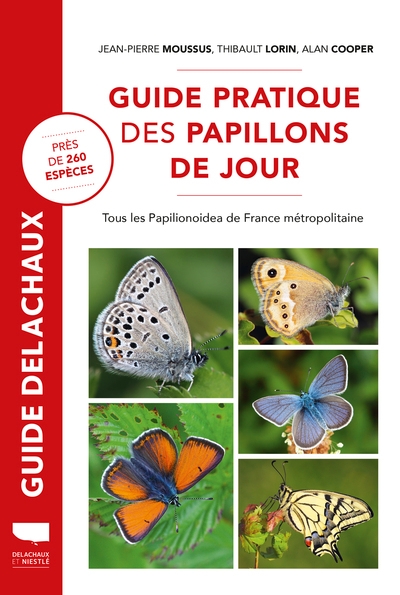 Guide pratique des papillons de jour - Image principale