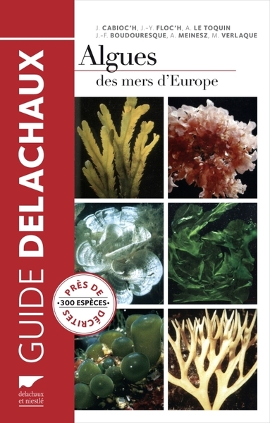Algues des mers d'europe - Image principale