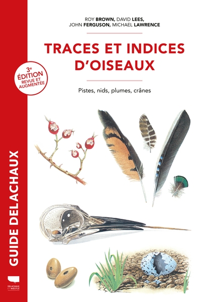 Traces et indices d'oiseaux - Image principale