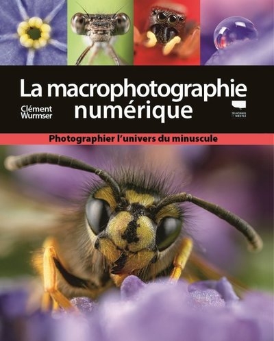 La macrophotographie numérique - Image principale