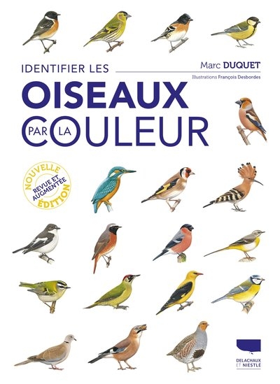 Identifier les oiseaux par la couleur - Image principale