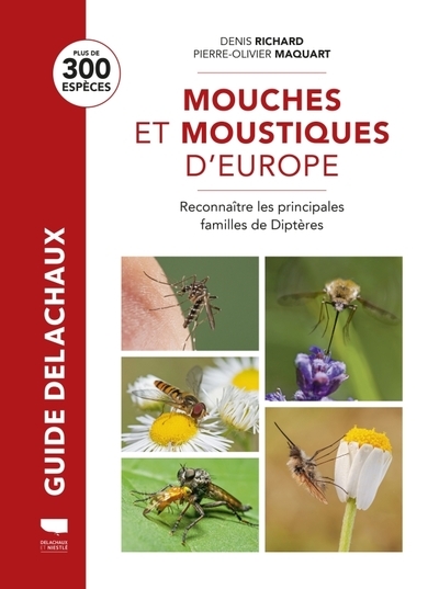 Mouches et moustiques - Image principale