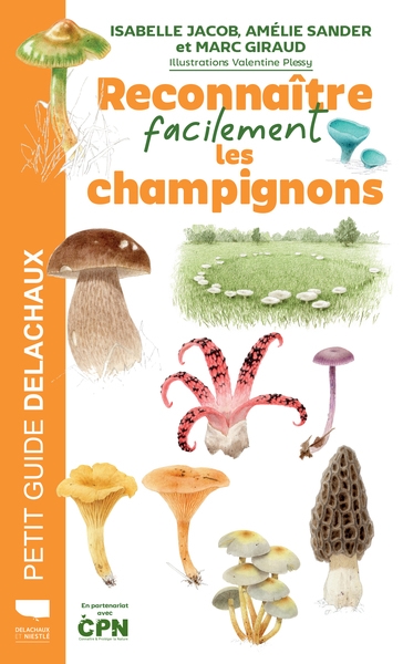 Reconnaître facilement les champignons - Image principale