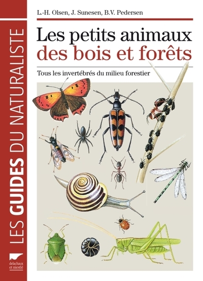 Les petits animaux des bois et forêts - Image principale