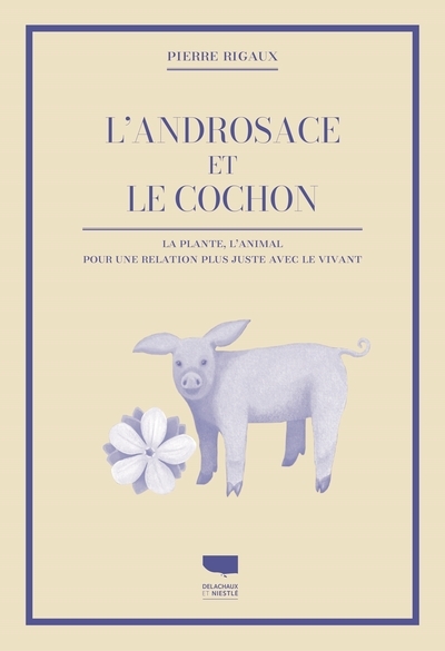 L'androsace et le cochon - Image principale