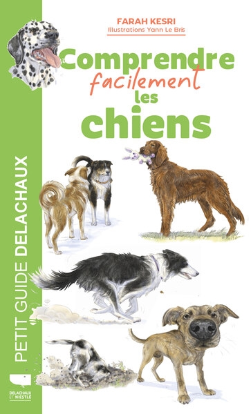 Comprendre facilement les chiens - Image principale